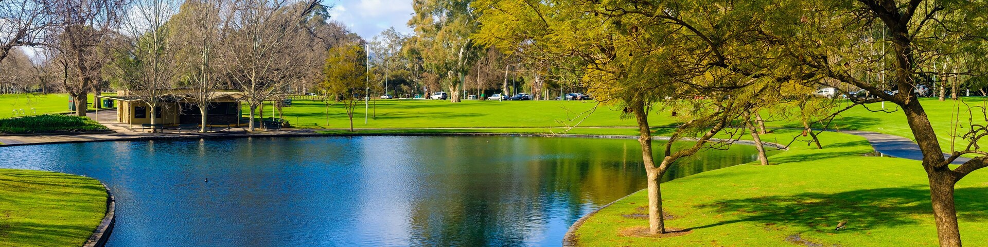 Rymill Park pond viewed from the bridge in Adelaide city on a sunny winter morning, South Australia