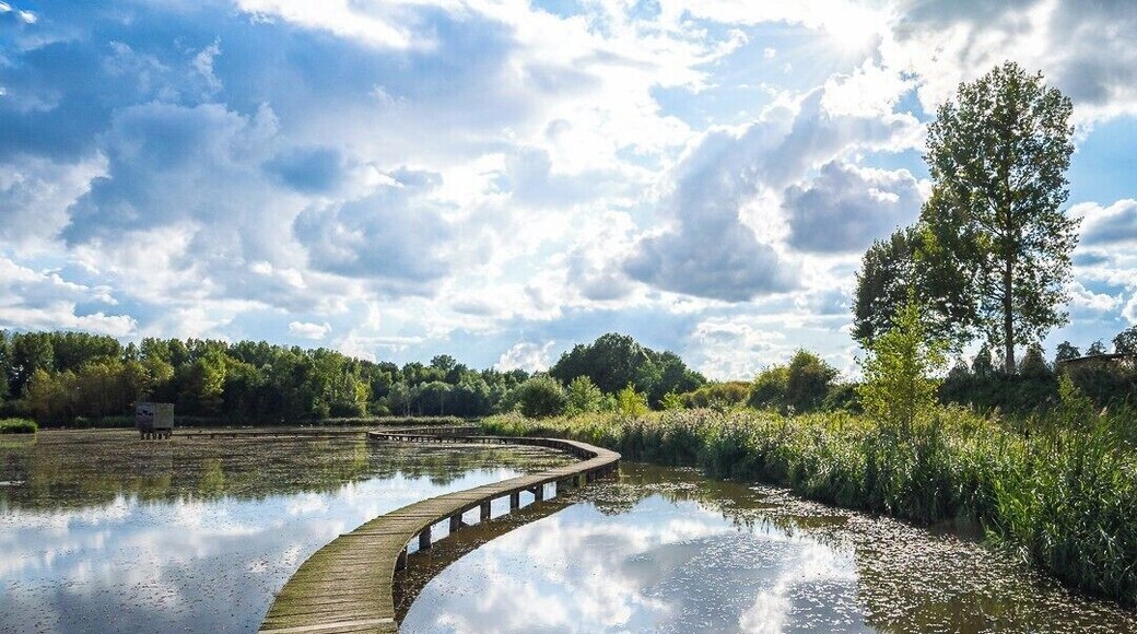 Provincial domain 'Het Vinne' is the largest natural lake in Flanders and the walk around the lake is about 5,5 kilometers long. #BVSBlue