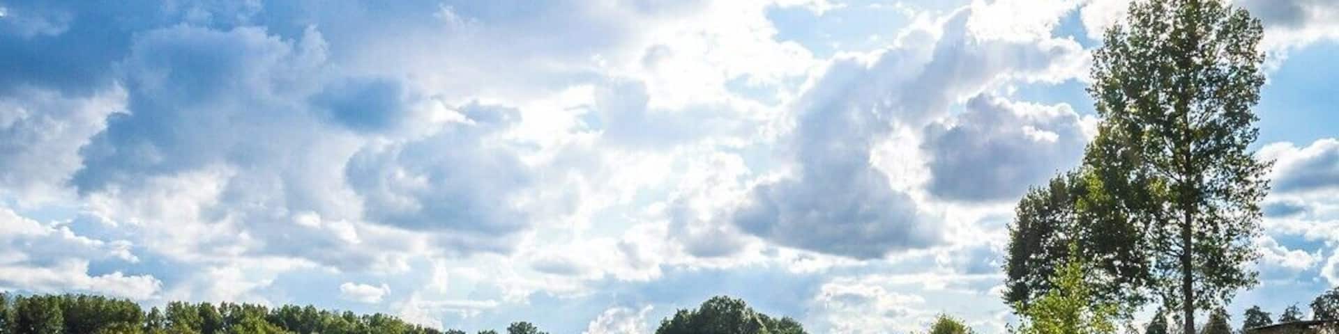 Provincial domain 'Het Vinne' is the largest natural lake in Flanders and the walk around the lake is about 5,5 kilometers long. #BVSBlue