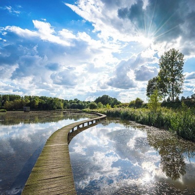 Provincial domain 'Het Vinne' is the largest natural lake in Flanders and the walk around the lake is about 5,5 kilometers long. #BVSBlue