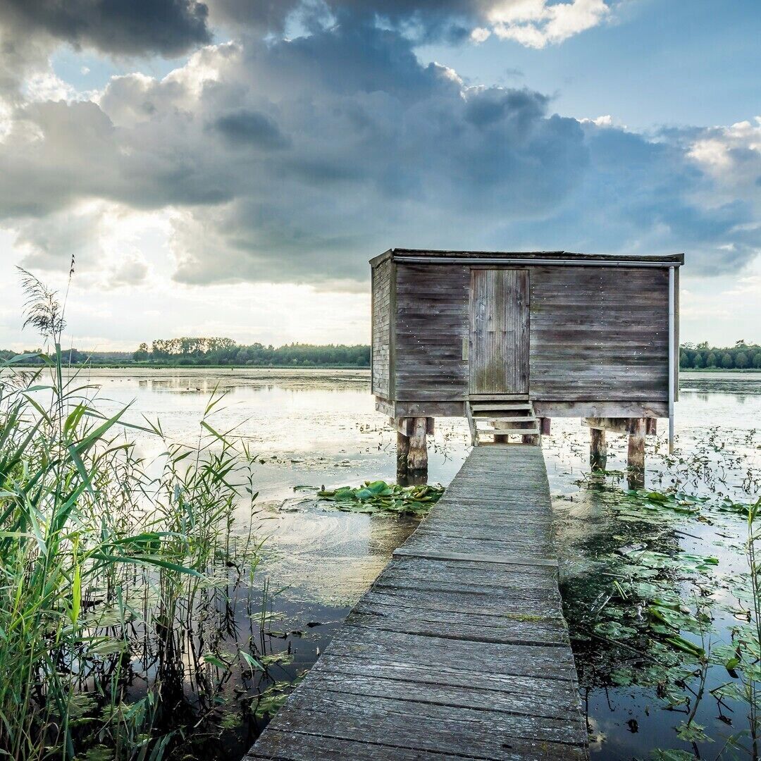 Provincial domain 'Het Vinne' is the largest natural lake in Flanders and the walk around the lake is about 5,5 kilometers long. It's also the perfect place to spot bird from these special cabins! #BVStrove