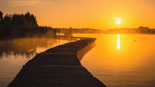 One of my favo shots of 2018
#BvS100k