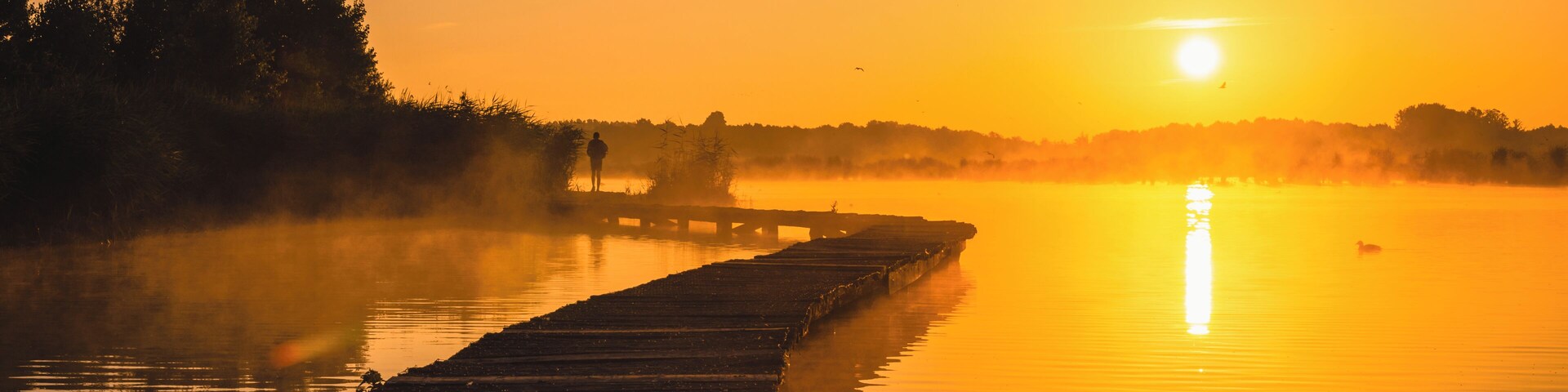 One of my favo shots of 2018
#BvS100k