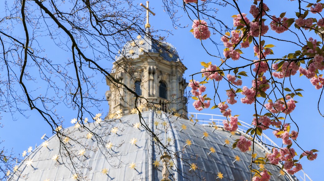 Scherpenheuvel-Zichem