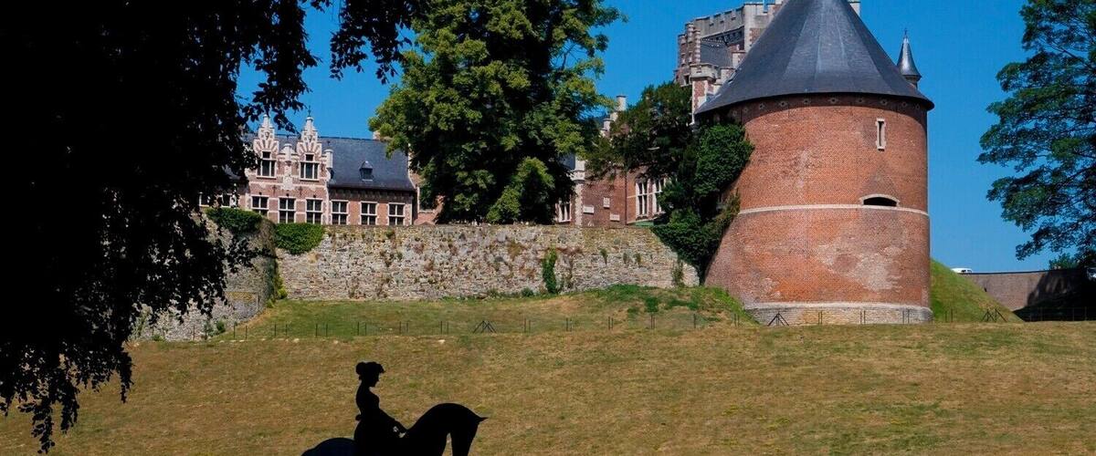 A castle with a round tower, a person on horseback, and a large tree in the foreground.