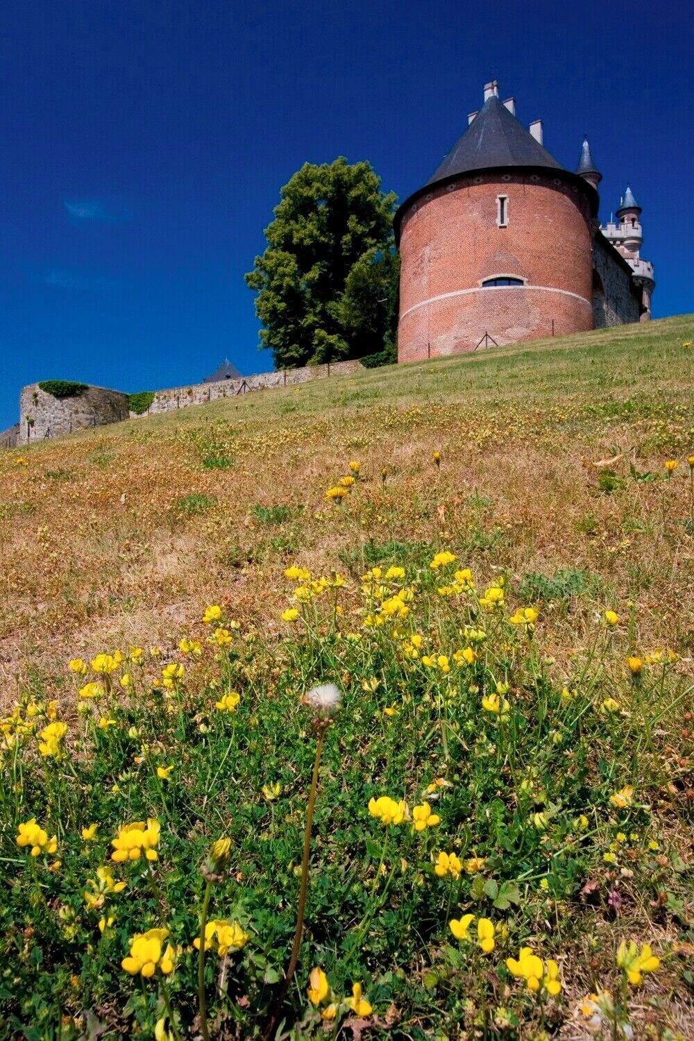 #kasteel #Gaasbeek vanuit de tuin - #castle as seen from the garden