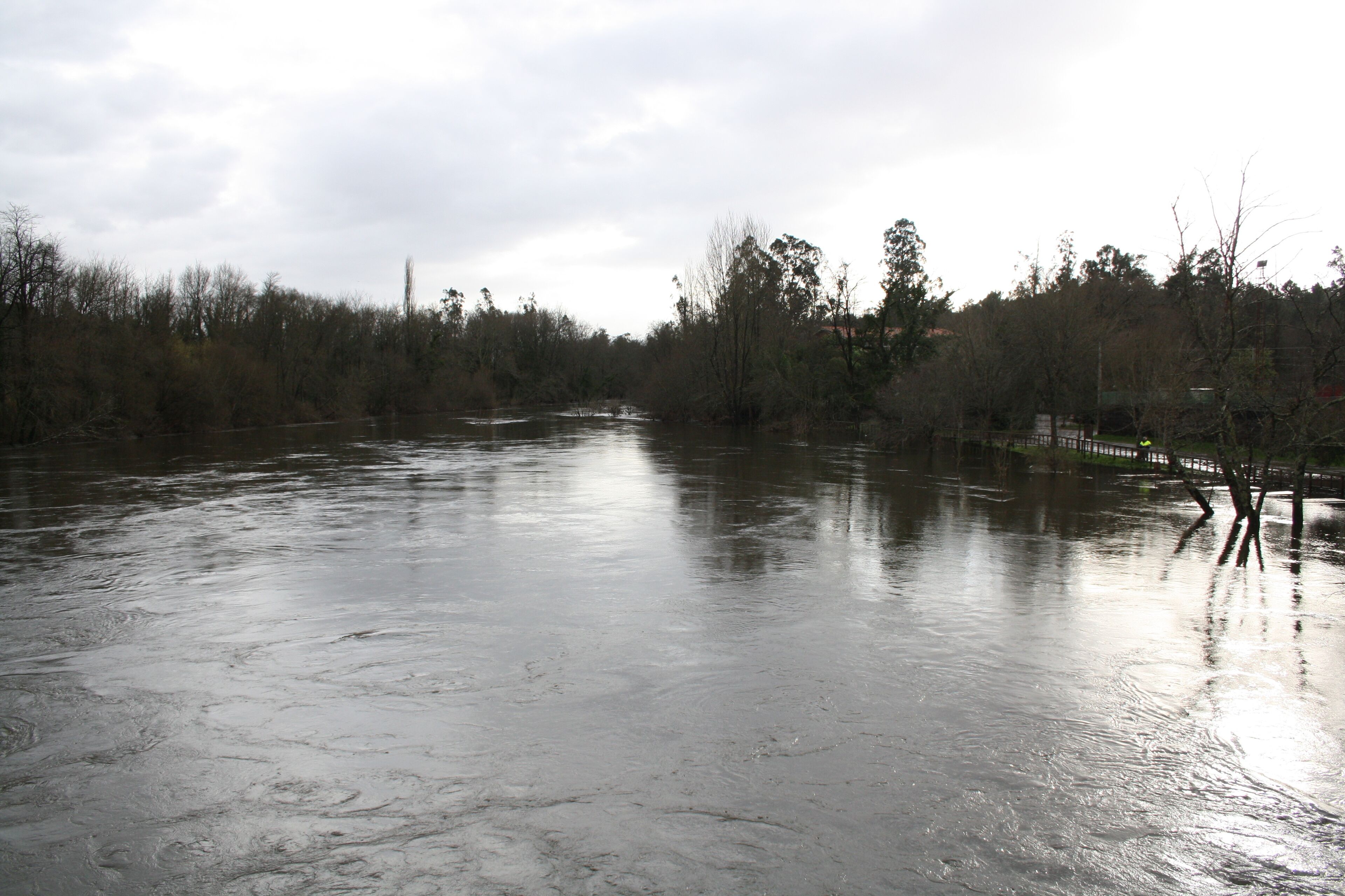 Río Tea , Ponte das Partidas 5