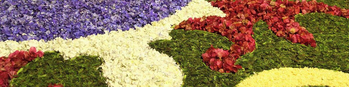 Corpus Christi Puenteareas 2017 Carpets of flowers for the feast of Corpus Christi in Puenteareas.