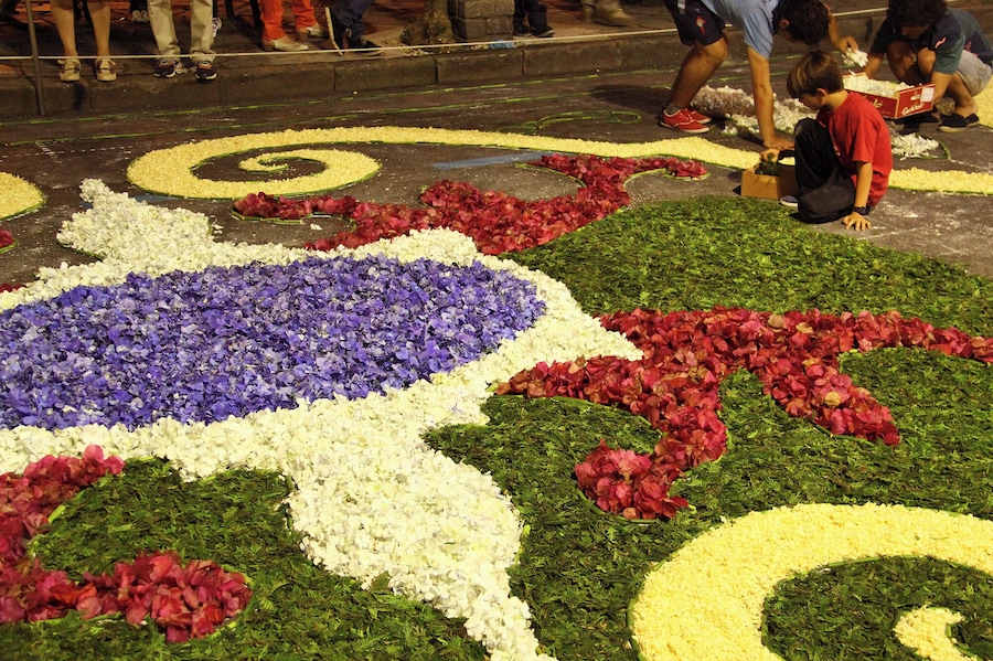 Corpus Christi Puenteareas 2017 Carpets of flowers for the feast of Corpus Christi in Puenteareas.