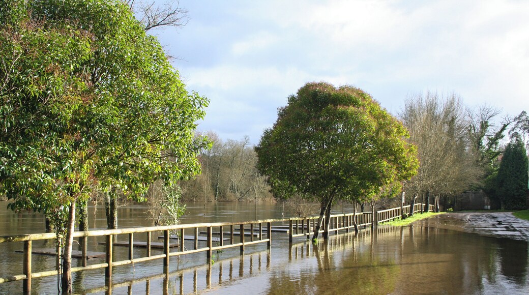 Ponteareas, Pontevedra, Spain