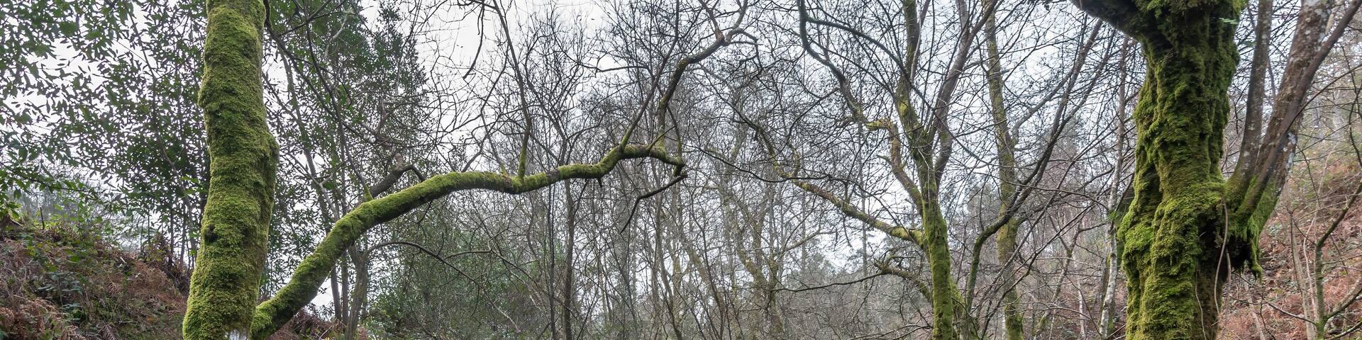Sendero de los molinos del río Couso, en Ponteareas (Galicia, España)