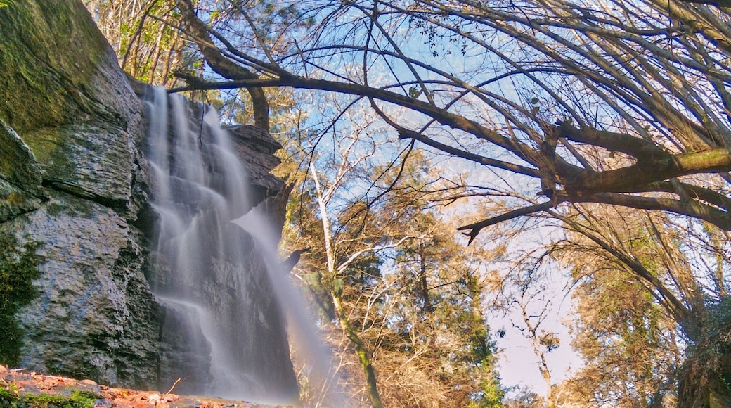 🏞️Bouzafria Cascade - Vigo - Pontevedra - Galicia - Spain🇪🇸
📷GoPro Hero5 - ISO 100 - f/2,8 15 sec - ND Filter
🏞️Bouzafria is very close to where I live, just about 4 kilometres from Vigo’s downtown, in Bembrive. The river Eifonso forms the cascade with a fall of almost 4 meters.
🏙️Vigo is located on the Northwest of Spain, in Galicia, it is one of largest and most important fishing ports🎣 in all Europe🇪🇺 and is known for its freezing and canning industry🏭.
🏘️The name Vigo comes from the Latin word Vicus Spacorum (Small Village). The city is built over a hill-fort (Castro) and a Roman settlement. During the Middle Ages the small village🏘️ of Vigo was a part of the neighbouring towns, mainly Tui. Finally on the 15th century, Vigo was considered a real village but in the 16th and 17th centuries, the city was attacked⚔️ several times. Around 1578 the town had a population of 868, but the plague🐀 and the pirates🏴☠️ destroyed the town and killed almost all the people. In 1585 and 1589 the town was attacked by the English admiral (a pirate or corsair) Sir Francis Drake🏴☠️, he temporary occupied it and he left many buildings burnt🔥. In 1702 a British-Dutch fleet under Sir George Rooke and James Butler, Duke of Ormonde, destroyed a Franco-Spanish fleet in the bay during the Battle of Rande🧭.
🕛In the 19th century, the French🇫🇷 troops conquered⚔️ Vigo, but the popular resistance ended with the reconquest of the city and the French Army was expelled🛡️ from Vigo on 28 March 1809. It was the first city of Galicia to be freed from the French🇫🇷 rule.
❓Did you know that the first stapler was produced for the French king Louis XV in the 18th century but it was actually made in the Basque Country? The royal stapler was hand-made and came with a set of staples bearing the royal emblem on them.