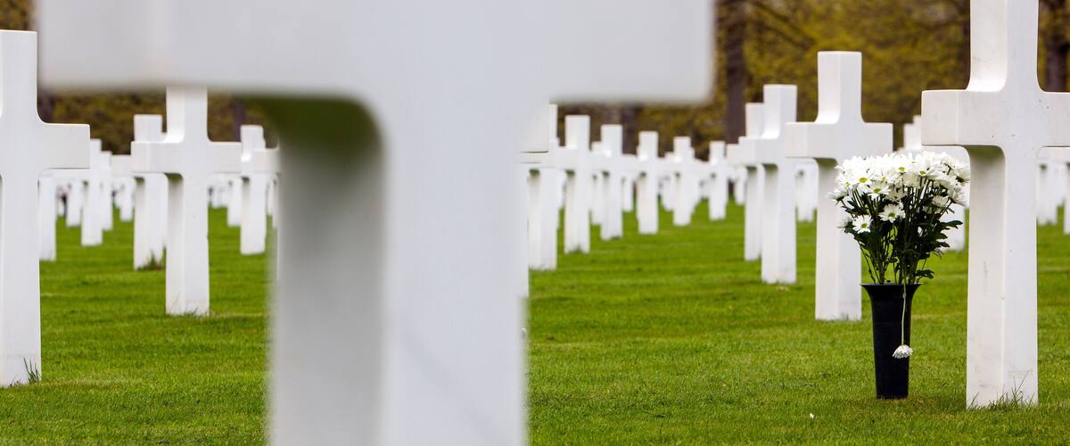 A cemetery with white crosses and a single black vase with white flowers.