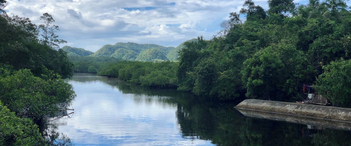 A calm river flanked by dense green foliage and a clear sky with scattered clouds.