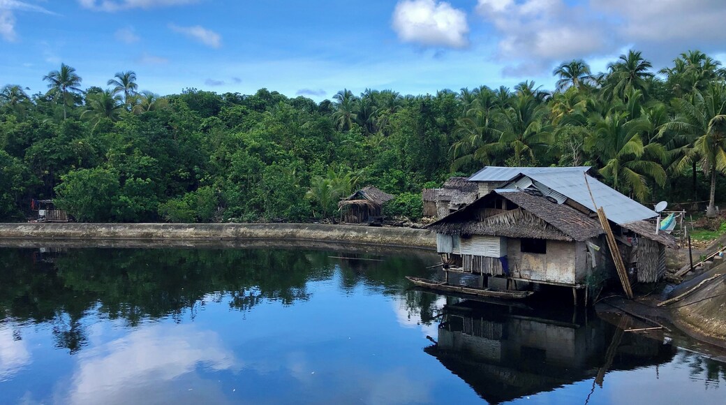 Stilts house on the river
