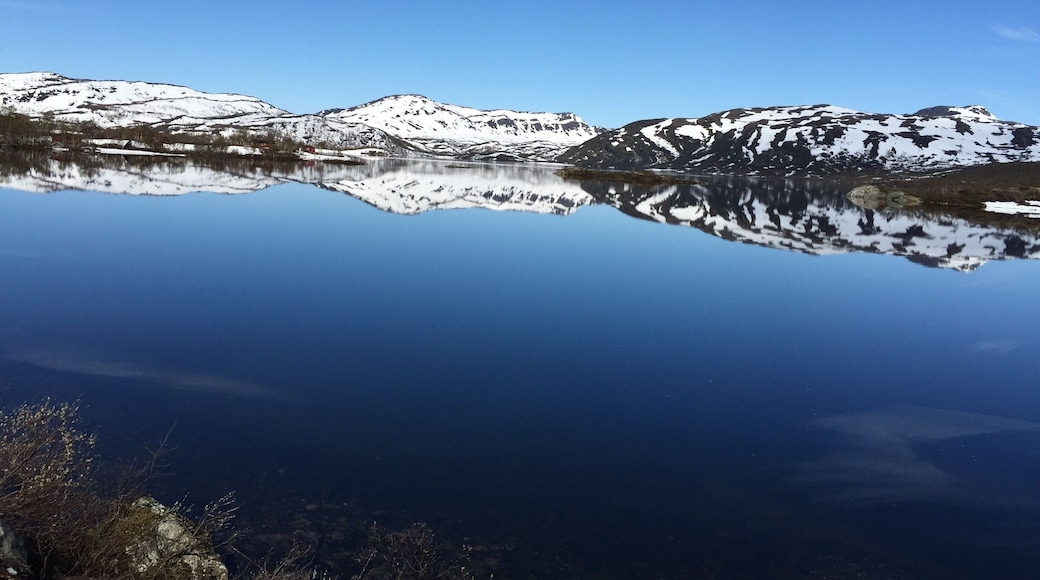 Beautiful reflexion. In Norway. #Waterlust