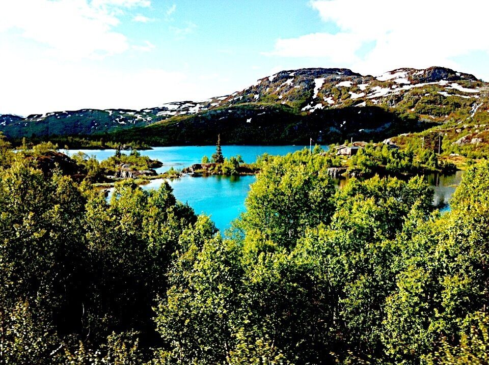 Beautiful view on the road between Røldal and Haukeli.

#localgem