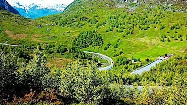Beautiful scenery somewhere between Røldal and Haukeli in western Norway.
#localgem