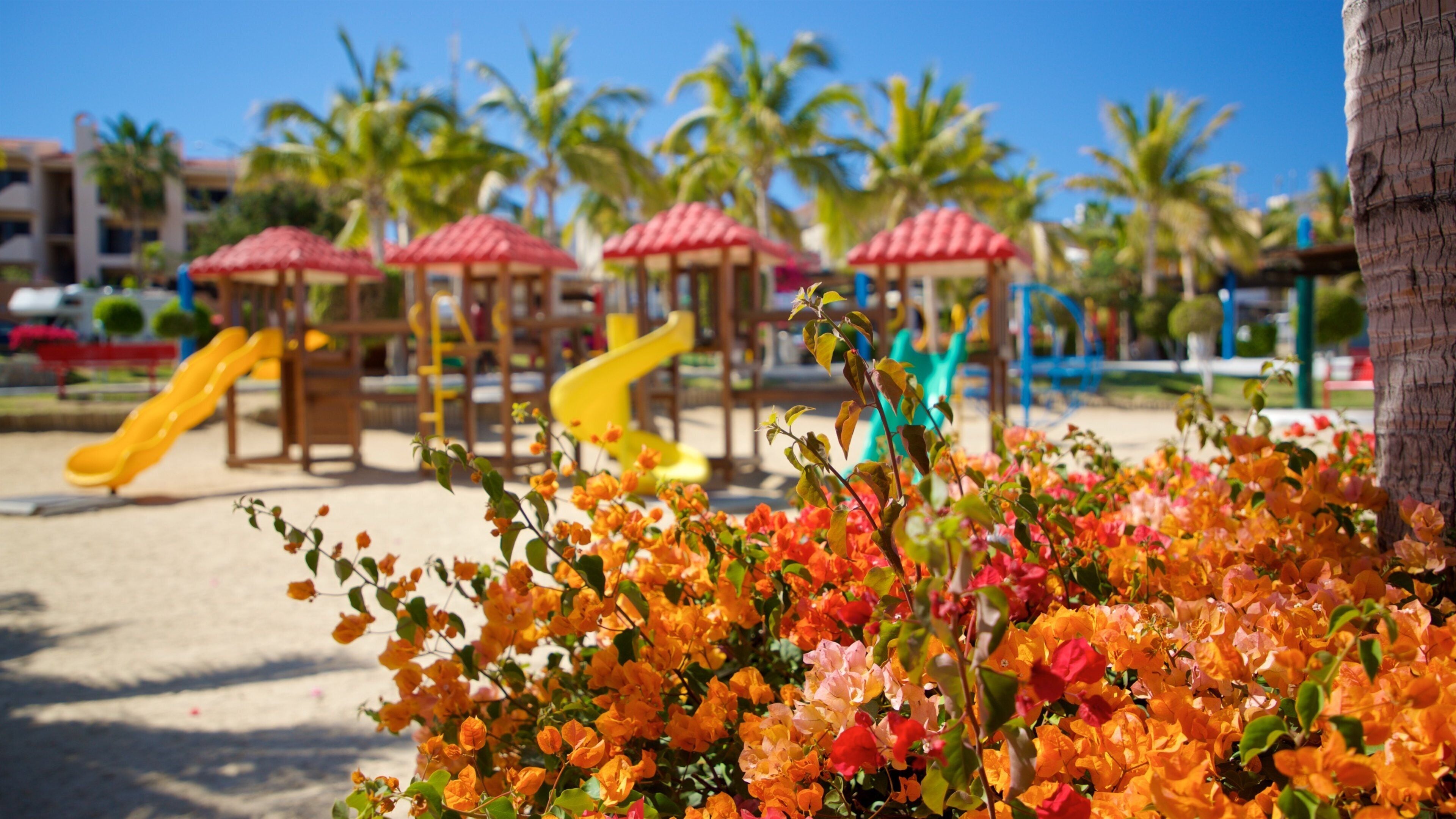 Zona Hotelera showing wildflowers and a playground