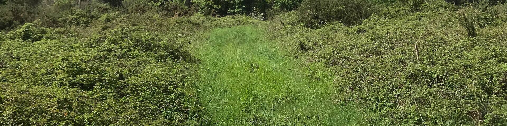 Sobreirais do Arnego, vista