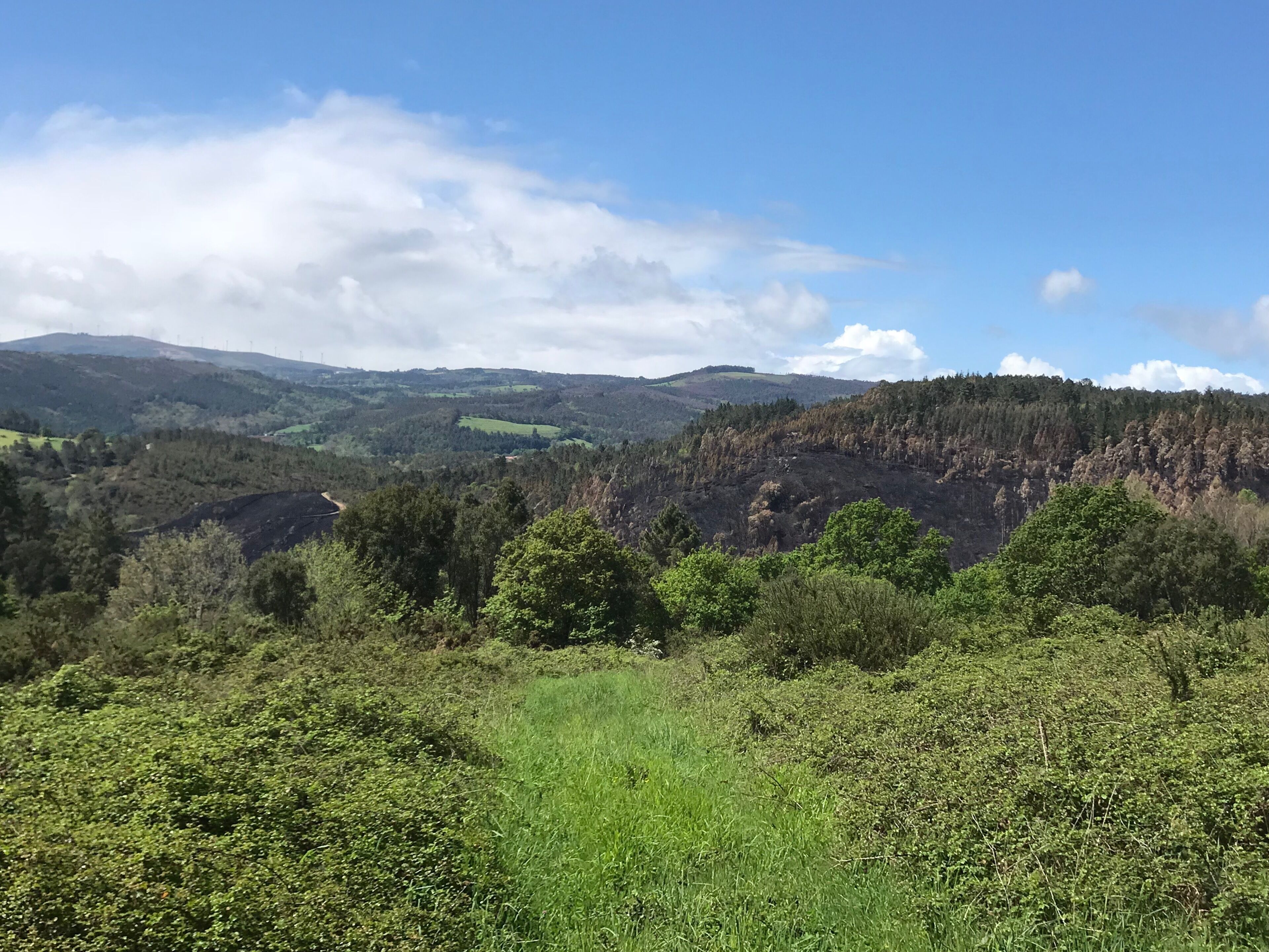 A mountainous landscape with dense forests and a clear sky.