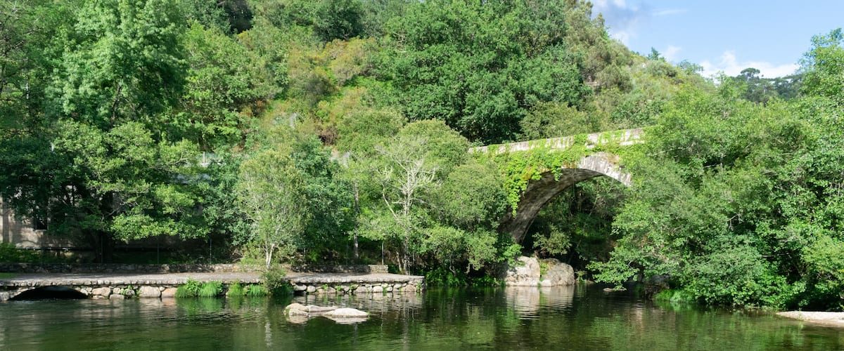 A stone bridge over a calm river, surrounded by lush greenery and trees.