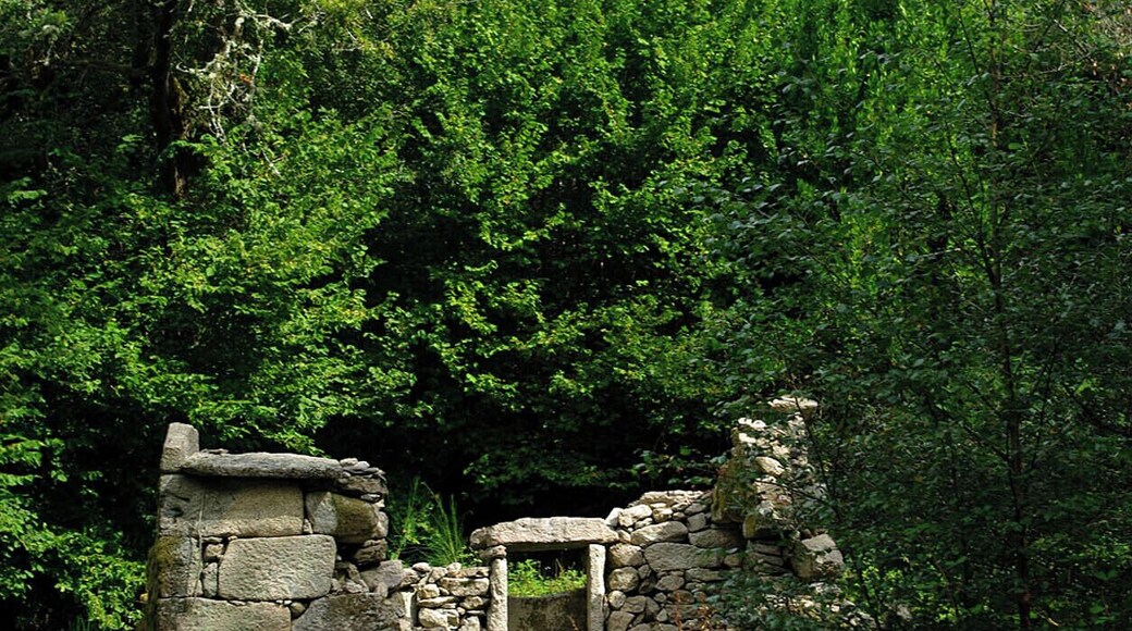 Muíño do río Xabriña 1