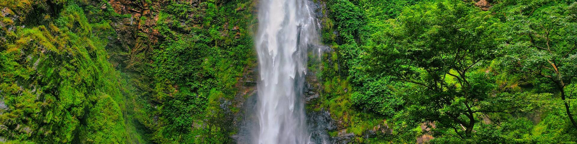 Aerial view of a powerful waterfall cascading down rugged cliffs, embraced by vibrant green vegetation, creating a breathtaking spectacle, Wli, Volta Region, Ghana.