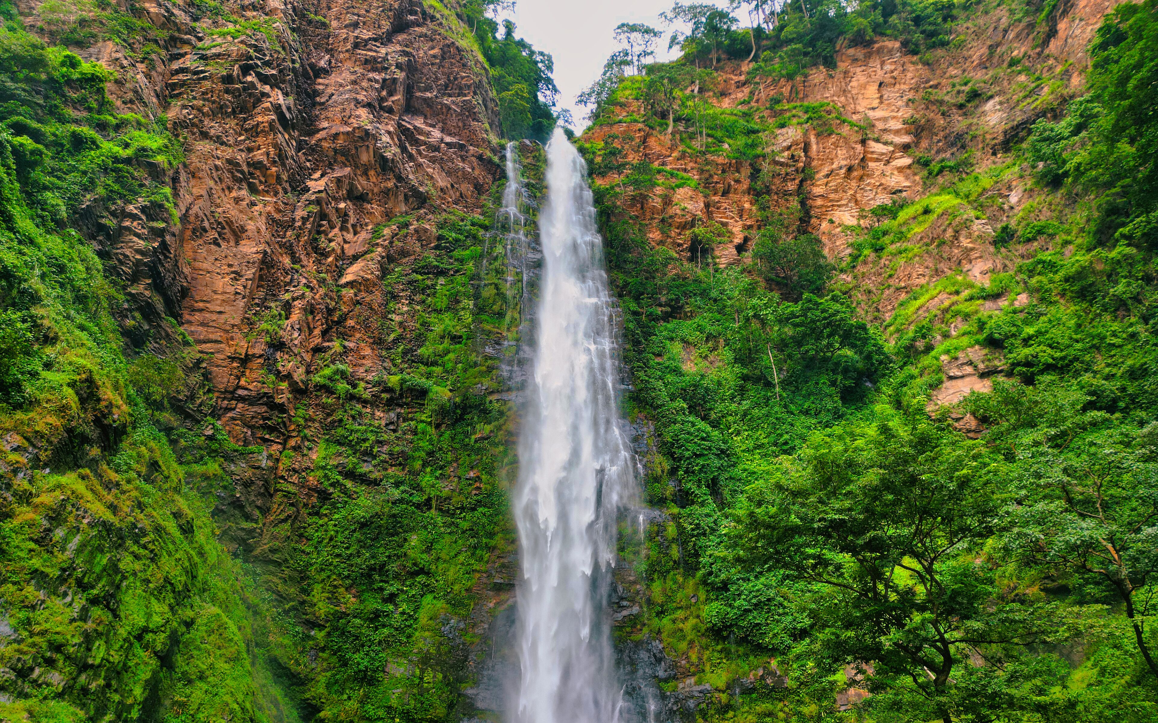 A waterfall cascading down a rocky cliff surrounded by lush greenery.