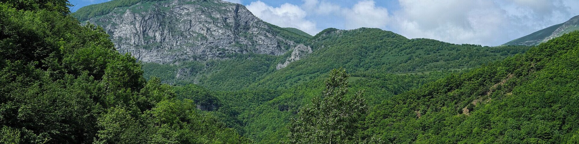 Un paisaje montañoso con densos bosques verdes y un pico rocoso destacado.