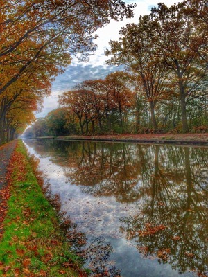 Reflecting trees in a Belgian canal near Arendonk.