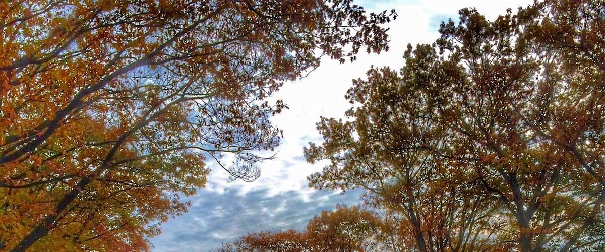 A river reflecting trees with autumn foliage, surrounded by a grassy path.
