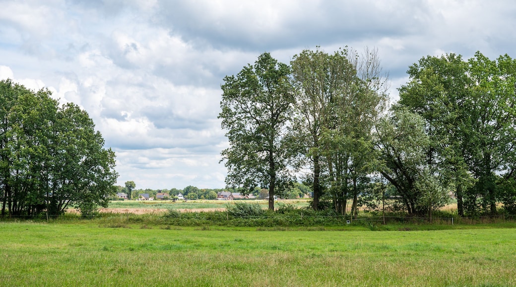 Green agriculture fields and meadows at the Groote Heide nature reserve at the Dutch Belgian border around Neerpelt, Flanders, Belgium