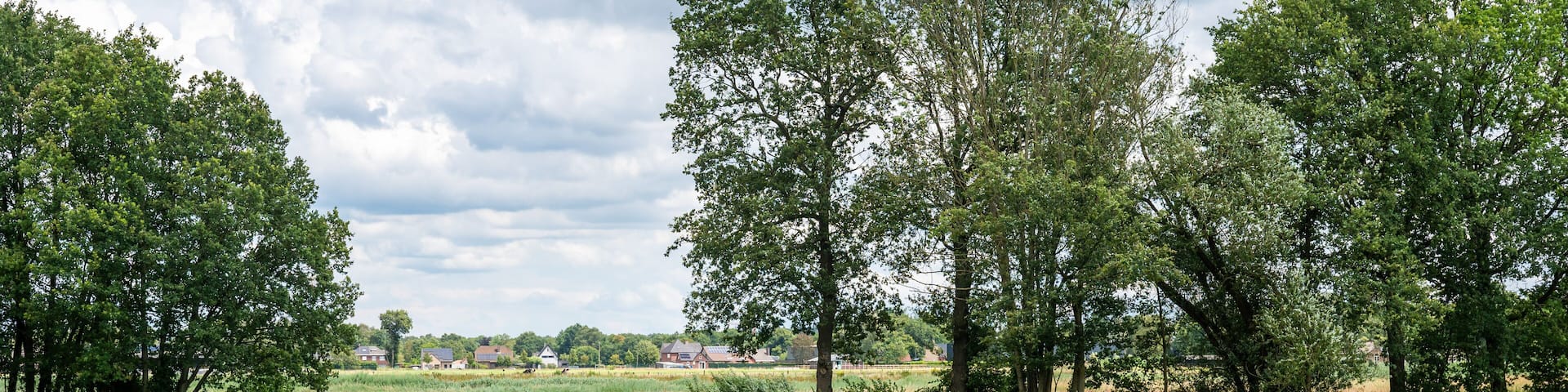 Green agriculture fields and meadows at the Groote Heide nature reserve at the Dutch Belgian border around Neerpelt, Flanders, Belgium