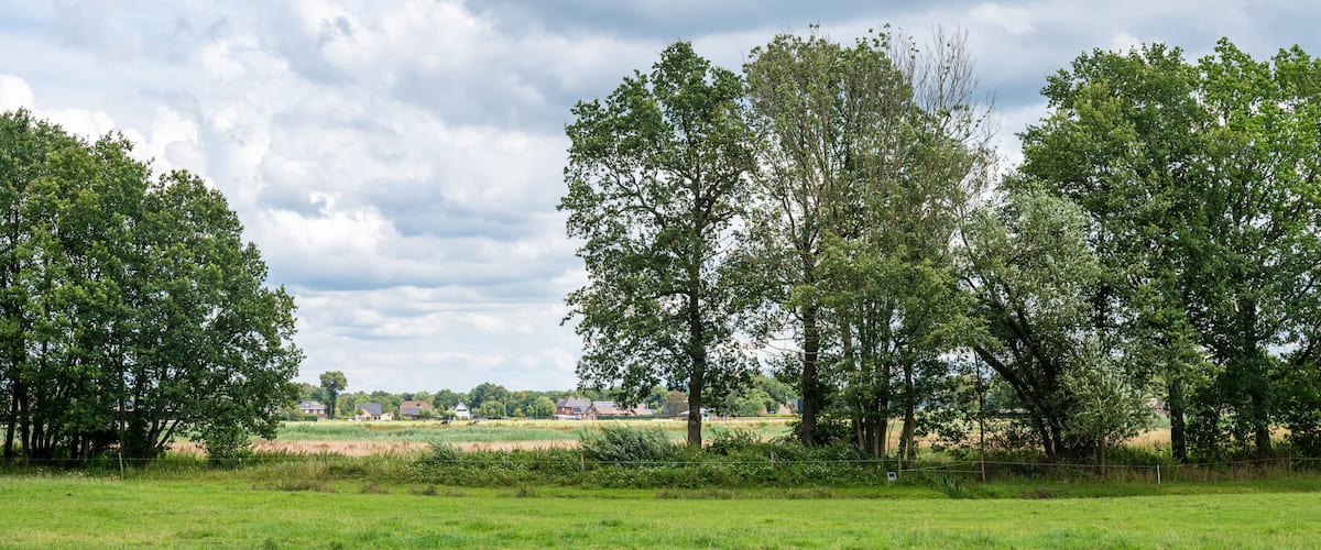 A grassy field with trees and houses in the background.