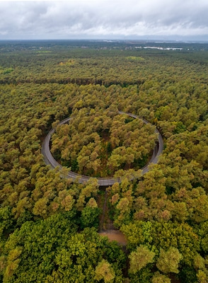 Une vue aérienne d’une route sinueuse traversant une forêt dense, avec un motif circulaire.