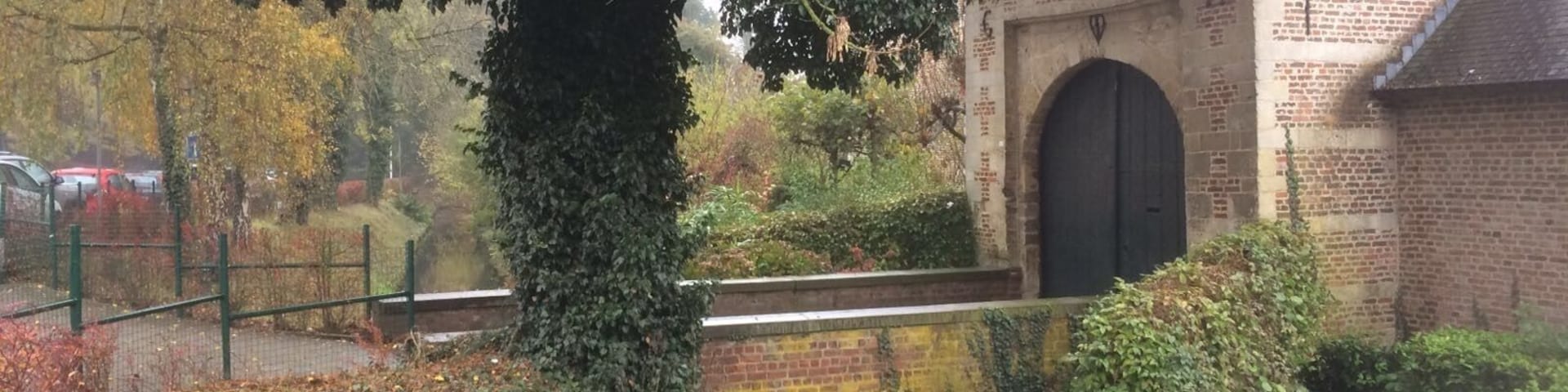 Het groenste snoepje van Vlaanderen / the greenest candy of Flanders. Nice forest!