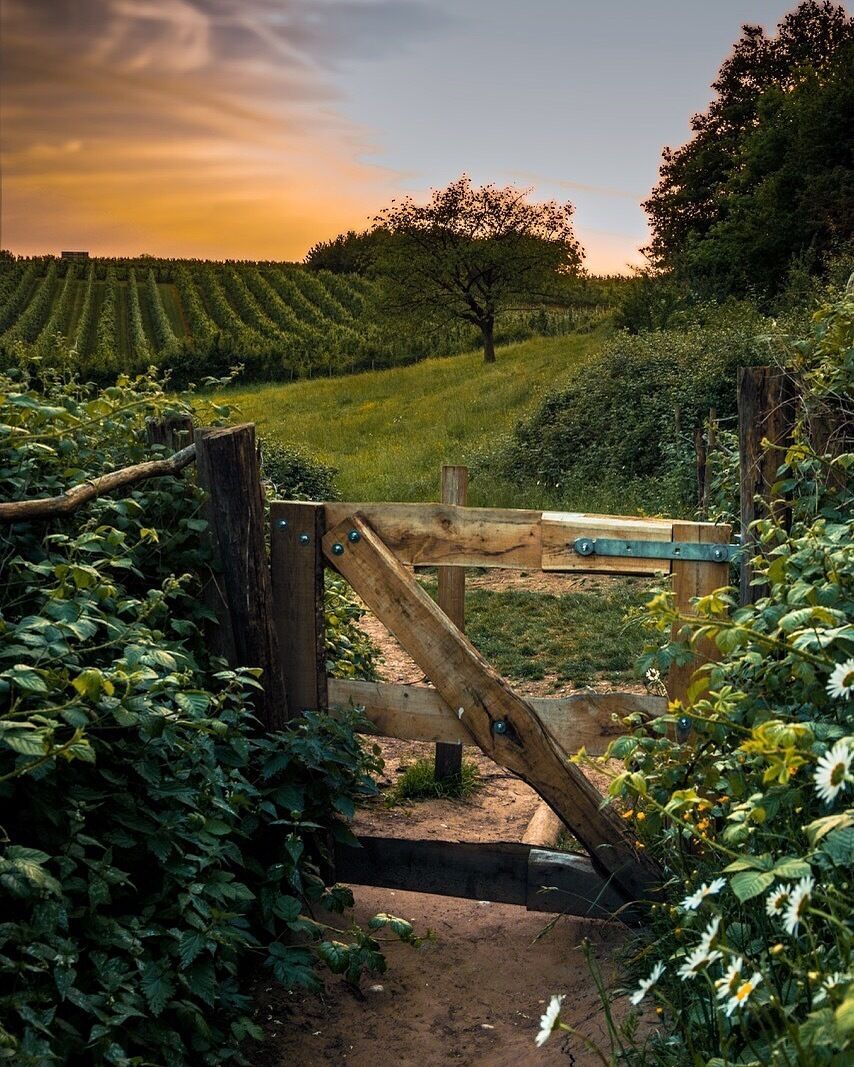 During my exams I had to get out to go shoot. This is the image I came up with.

The clinic would help me lots. I am still lin the learning stage and some practiical help would get me further in this Great hobby!

#bvscrete #limburg #belgium #haspengouw