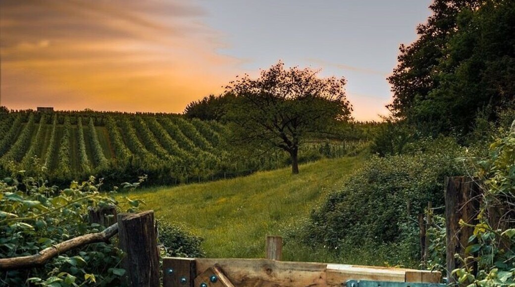 During my exams I had to get out to go shoot. This is the image I came up with.
The clinic would help me lots. I am still lin the learning stage and some practiical help would get me further in this Great hobby!
#bvscrete #limburg #belgium #haspengouw