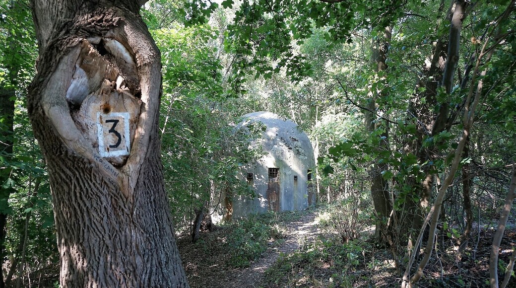 Turret above the fort.