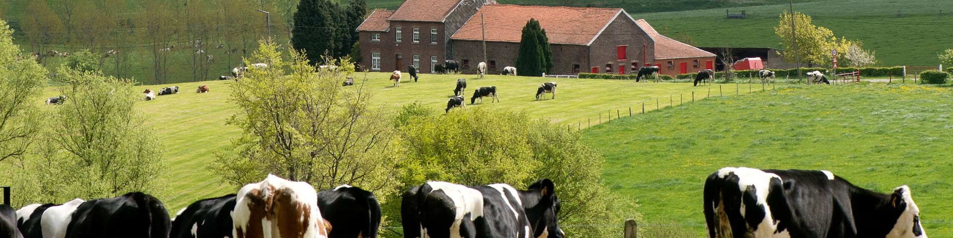 Uitzicht over het land van Herve, in de provincie Luik,Belgie.