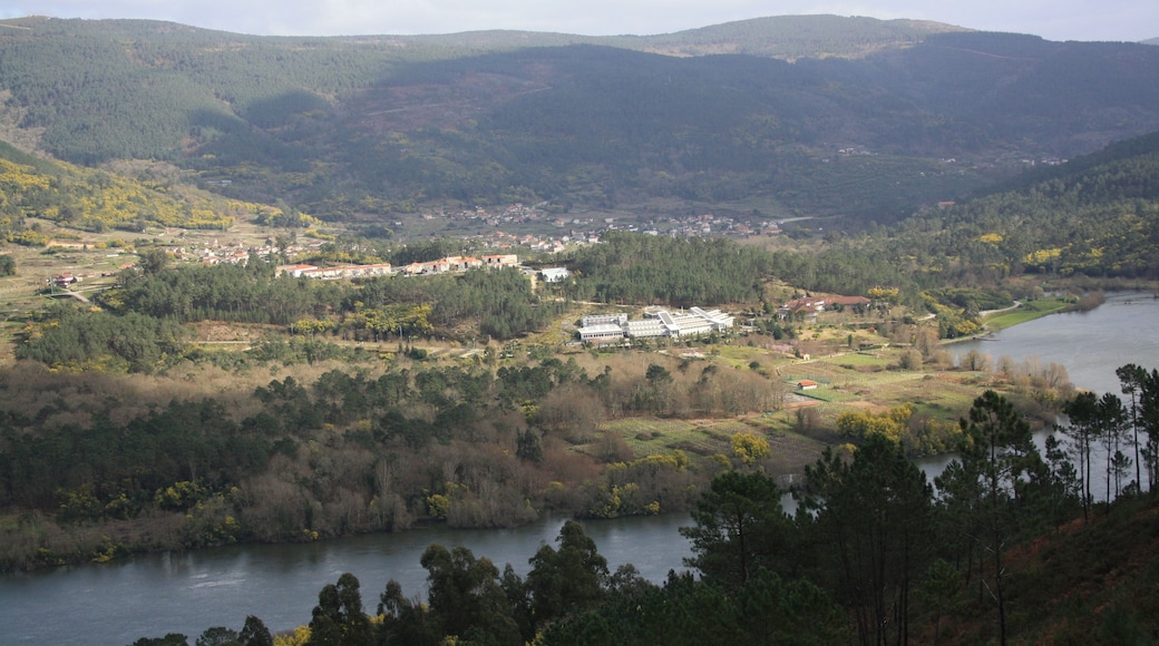 Ribadavia, Province of Ourense, Spain
