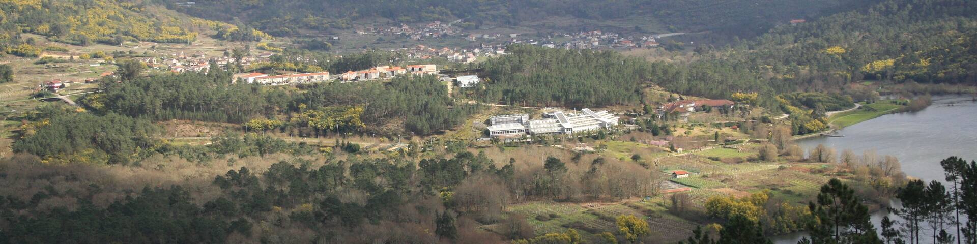 Ribadavia, Province of Ourense, Spain