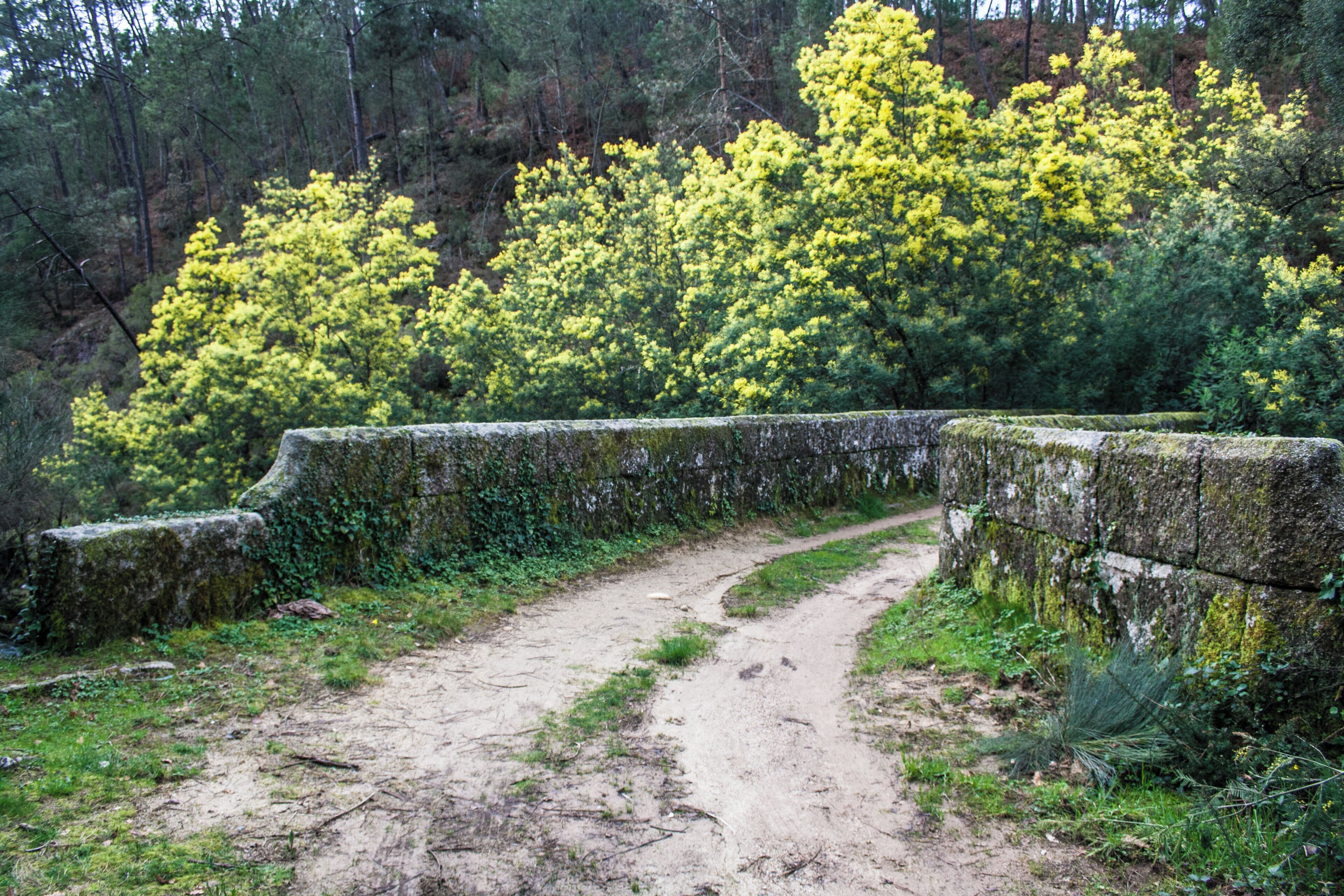 Ribadavia, Province of Ourense, Spain
