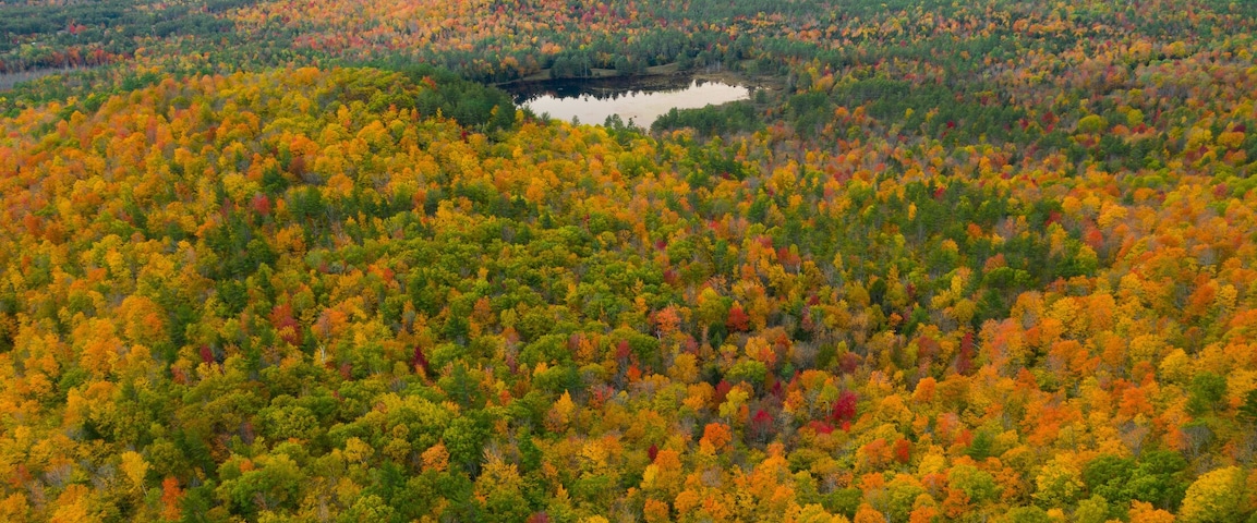 Lake in Colorful Autumn Adirondack Forest from Above
