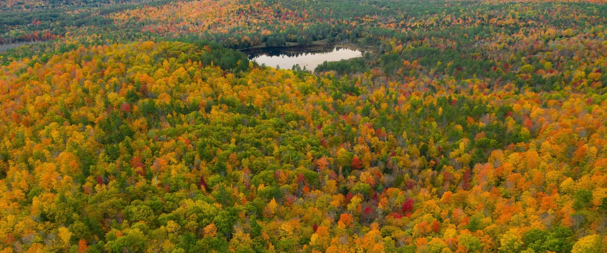 Lake in Colorful Autumn Adirondack Forest from Above