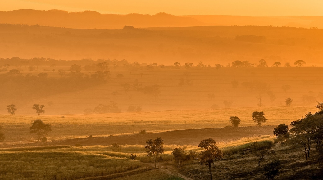 Stunning golden sunrise over a foggy countryside landscape in Brotas, Brazil, State of Sao Paulo