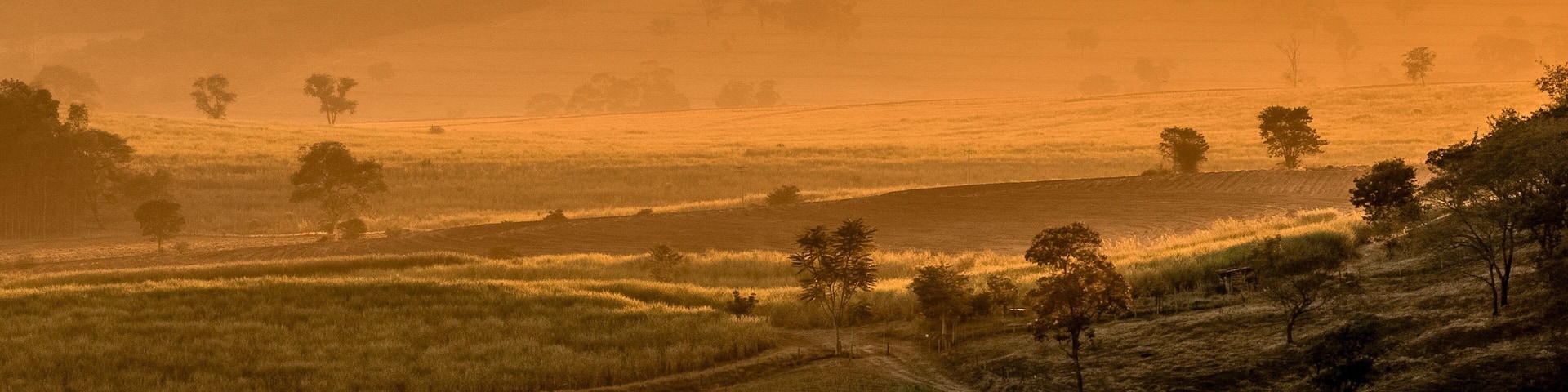 Stunning golden sunrise over a foggy countryside landscape in Brotas, Brazil, State of Sao Paulo