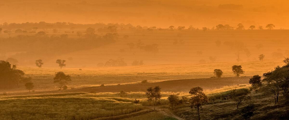 A rural landscape with rolling hills, scattered trees, and a misty atmosphere.