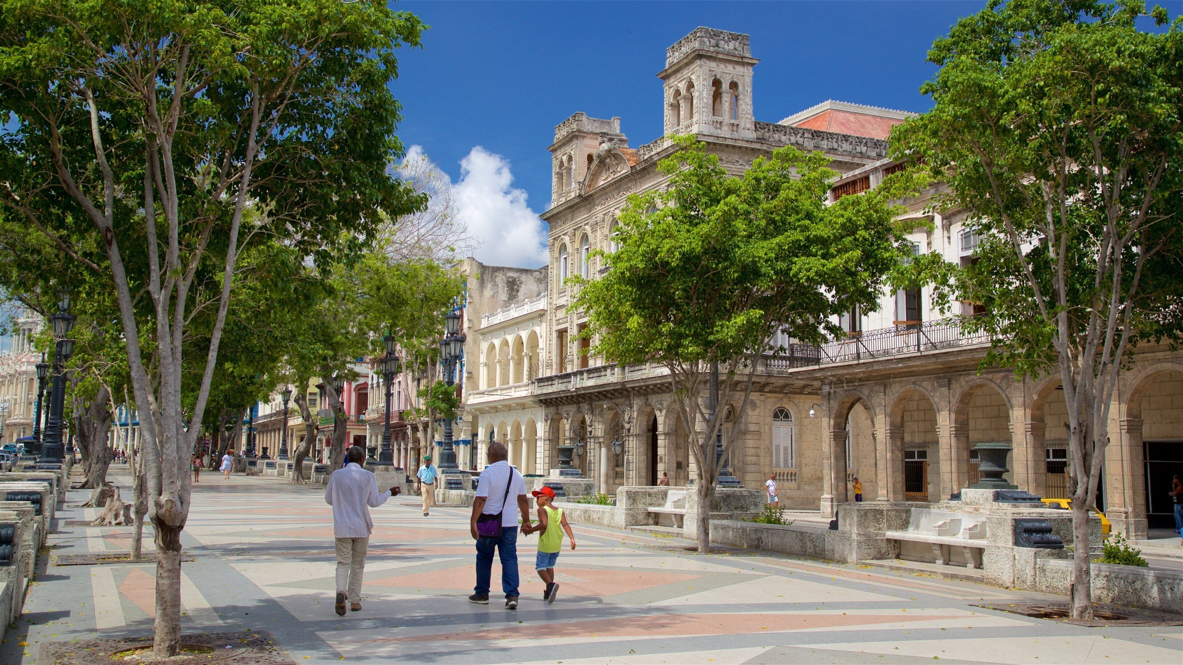 A historic plaza with trees, a fountain, and ornate buildings.